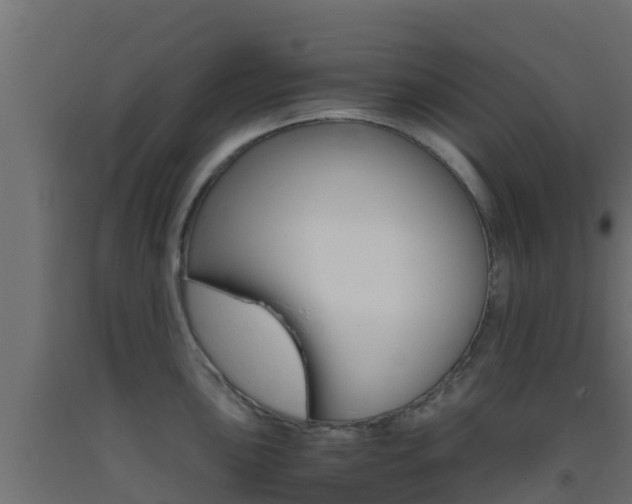 X0000093411051200710120912