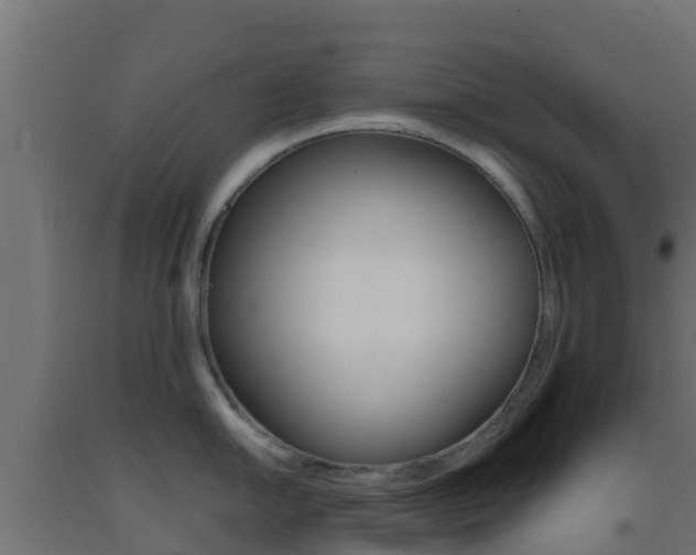 X0000093411054200710120912