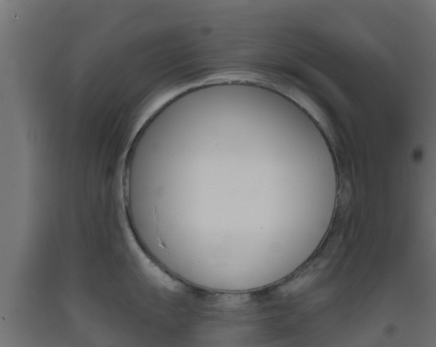 X0000093411055200710120912
