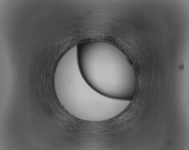 X0000093411057200710120911
