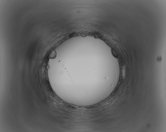 X0000093411059200710120911