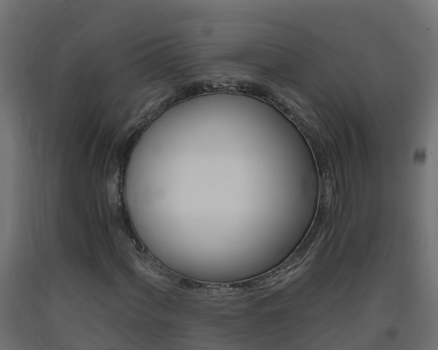 X0000093411060200710120911