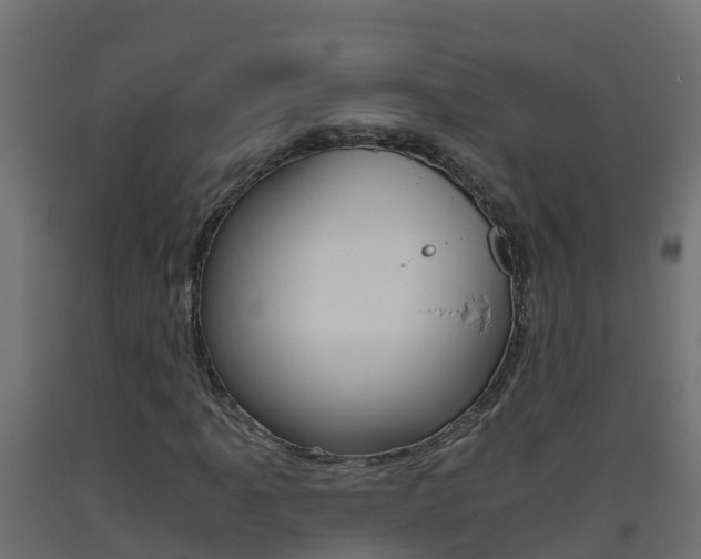 X0000093411061200710120911