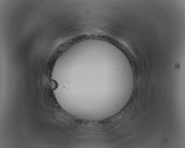 X0000093411063200710120911