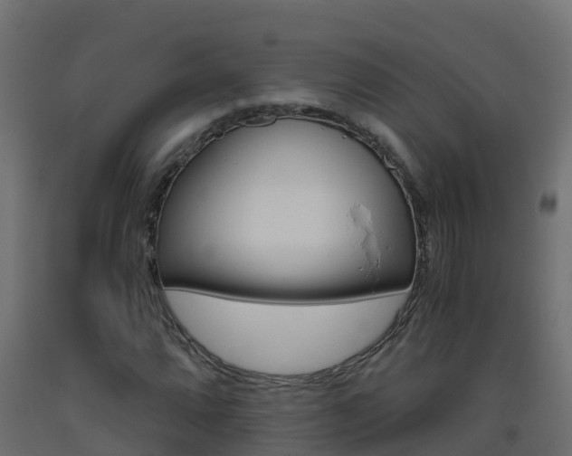 X0000093411064200710120911