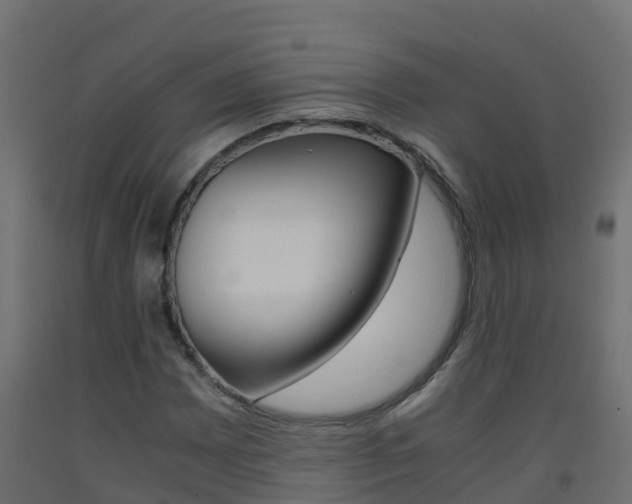 X0000093411065200710120911