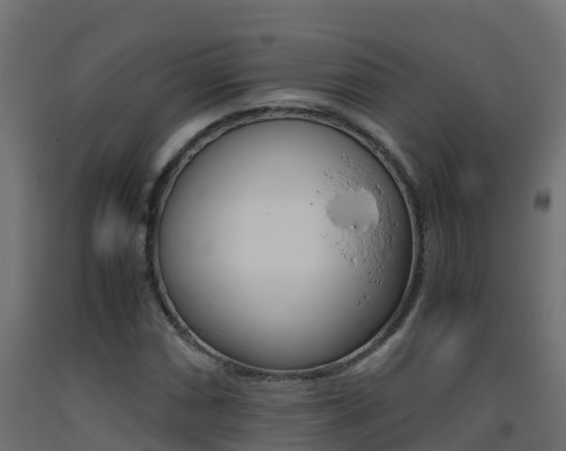 X0000093411066200710120911