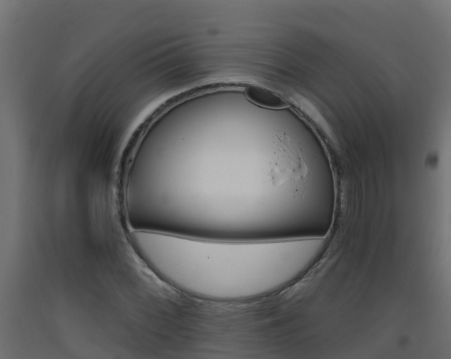 X0000093411068200710120911