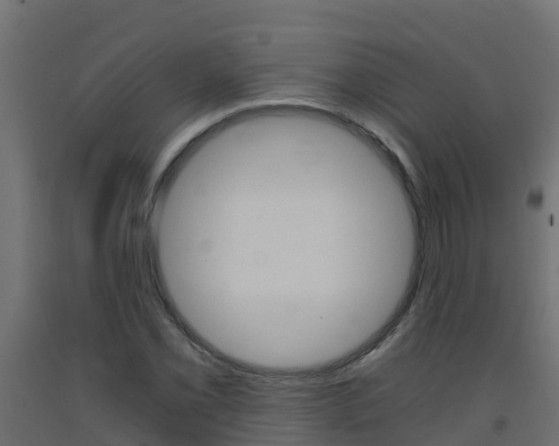 X0000093411069200710120911