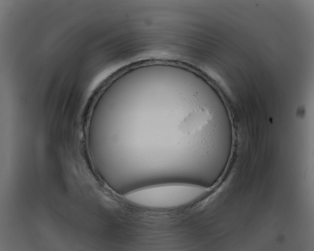 X0000093411070200710120911
