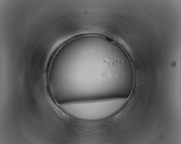 X0000093411072200710120911