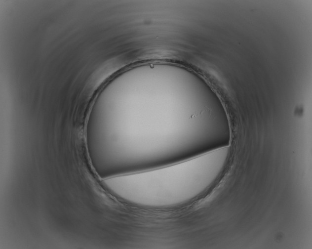 X0000093411073200710120911