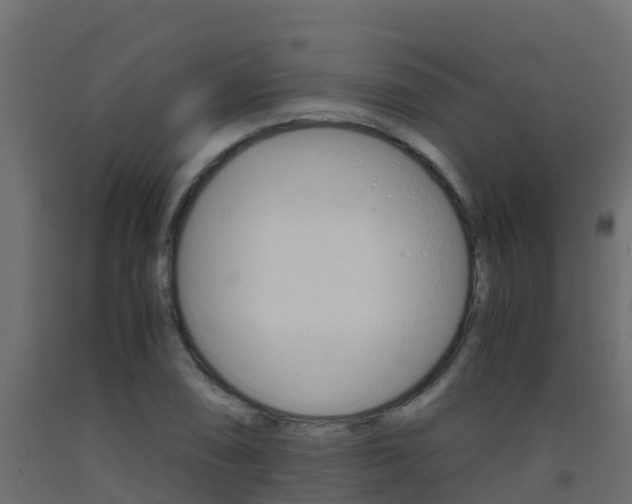X0000093411074200710120911