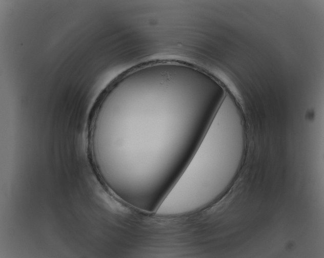 X0000093411076200710120911
