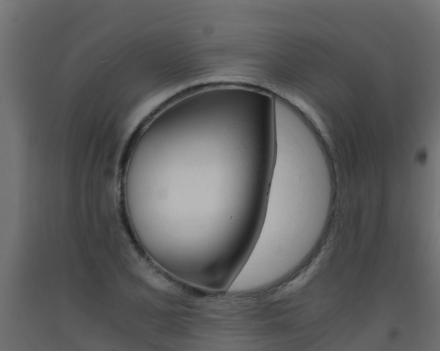X0000093411077200710120911