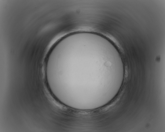 X0000093411078200710120911