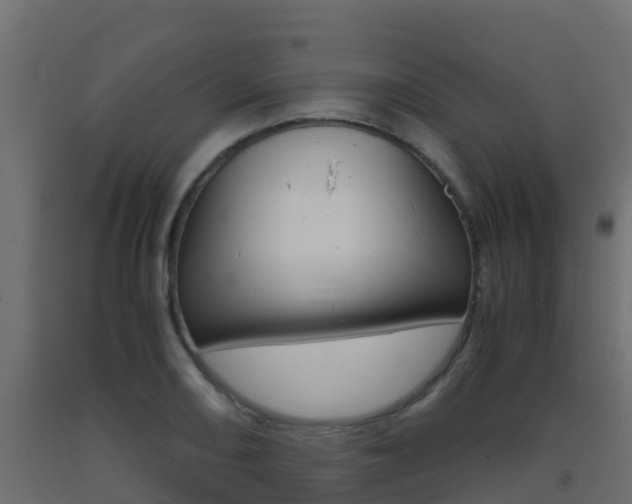 X0000093411082200710120911