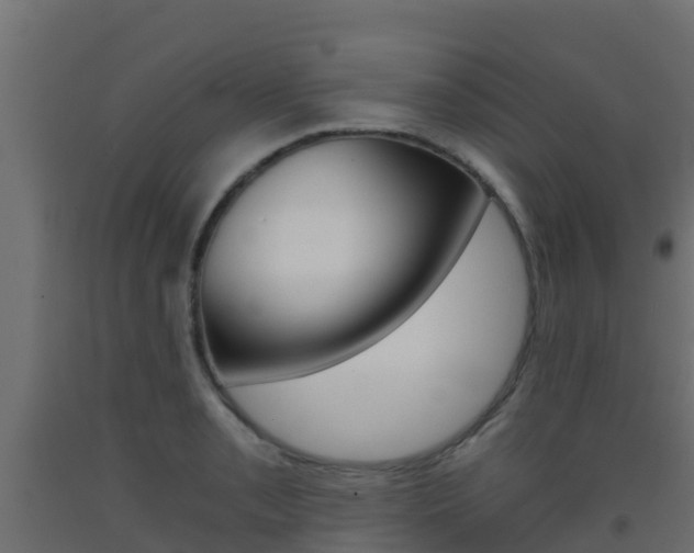 X0000093411085200710120911
