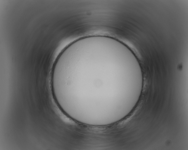 X0000093411086200710120911