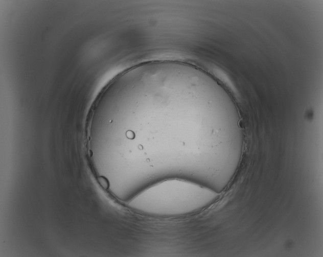 X0000093411087200710120911