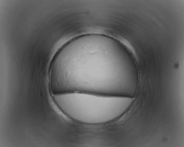 X0000093411088200710120911