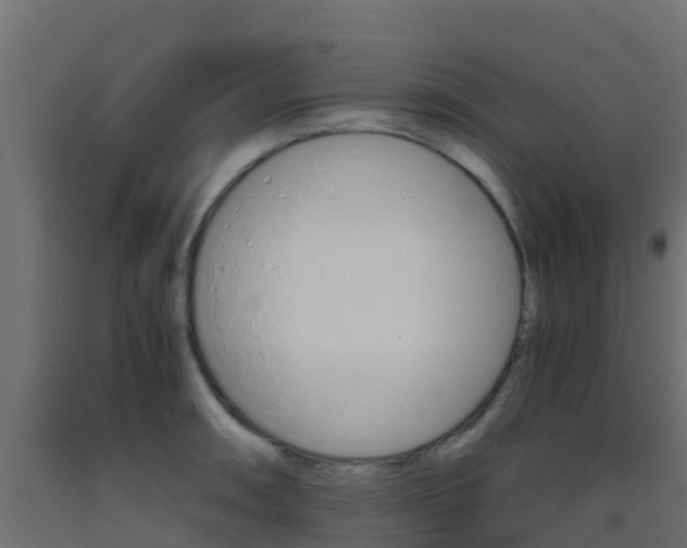 X0000093411090200710120911