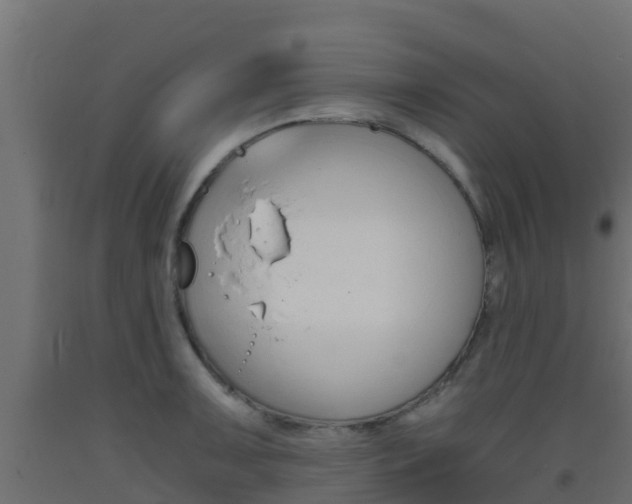 X0000093411091200710120911