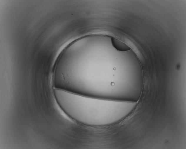 X0000093411092200710120911