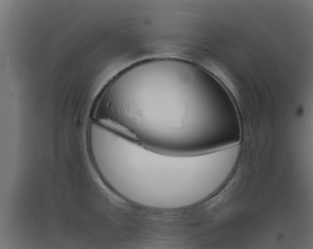 X0000093411093200710120911