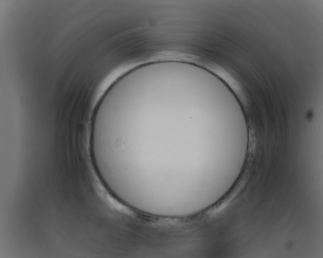 X0000093411094200710120911