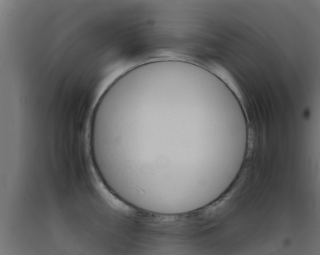 X0000093411098200710120911