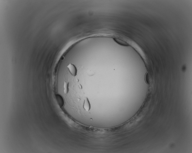 X0000093411099200710120911