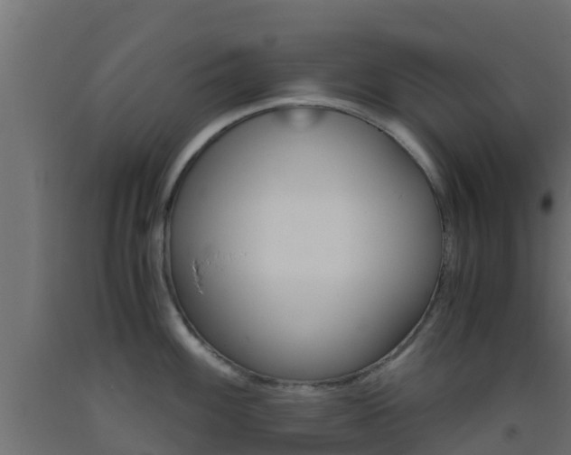 X0000093411100200710120911