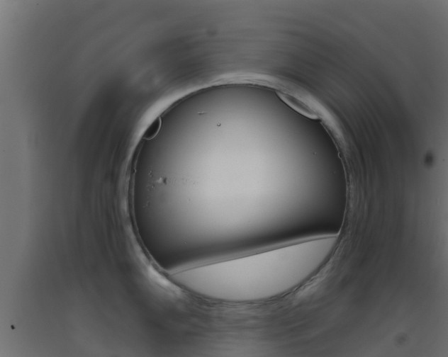 X0000093411102200710120911