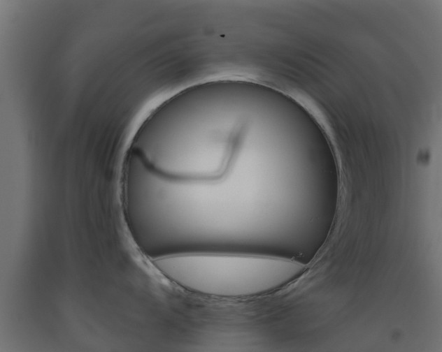 X0000093411104200710120911