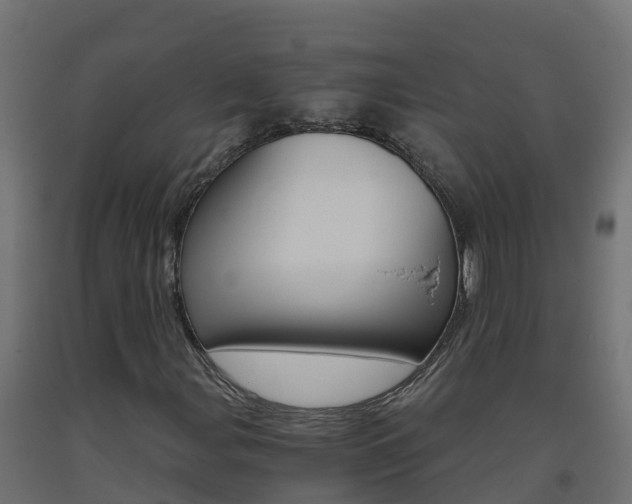 X0000093411107200710120910