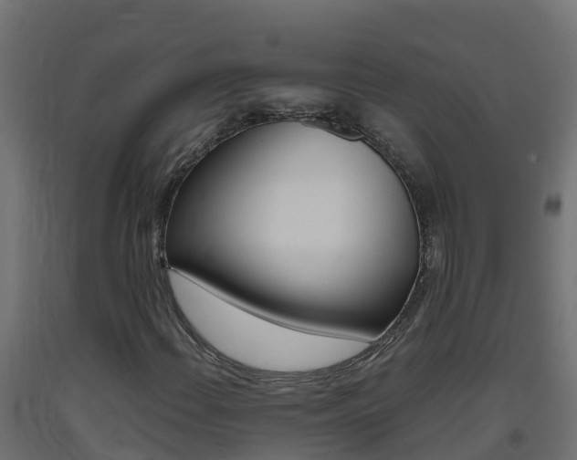 X0000093411108200710120910