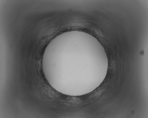 X0000093411109200710120910