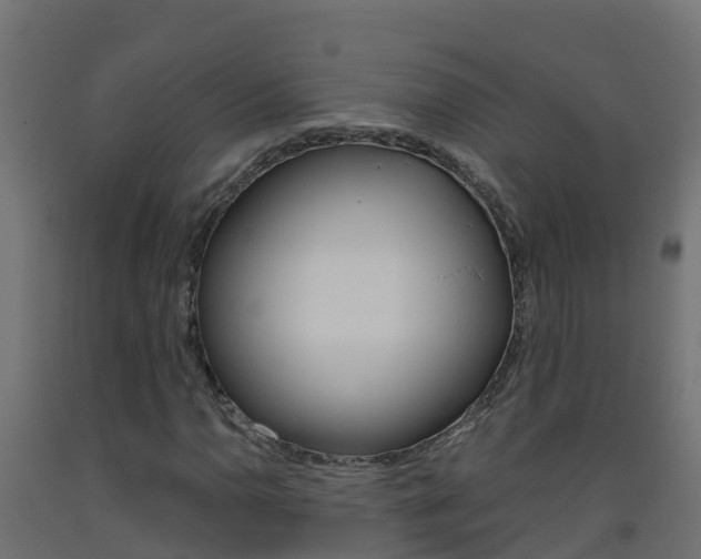 X0000093411110200710120910