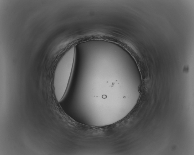 X0000093411111200710120910