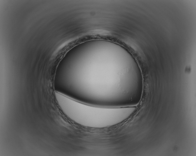 X0000093411112200710120910