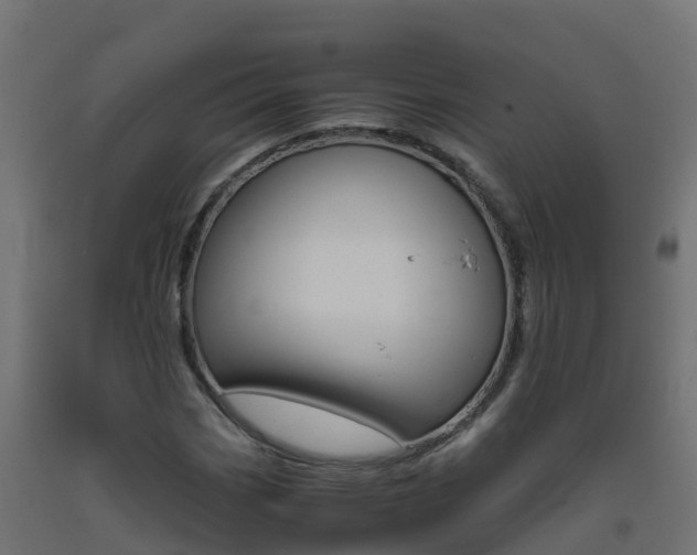 X0000093411113200710120910