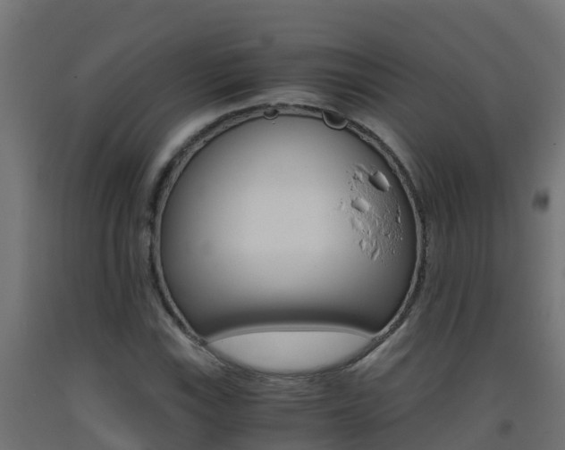 X0000093411115200710120910