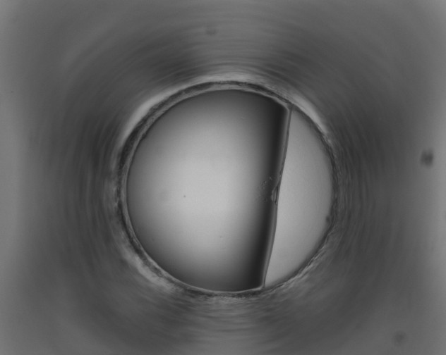 X0000093411116200710120910