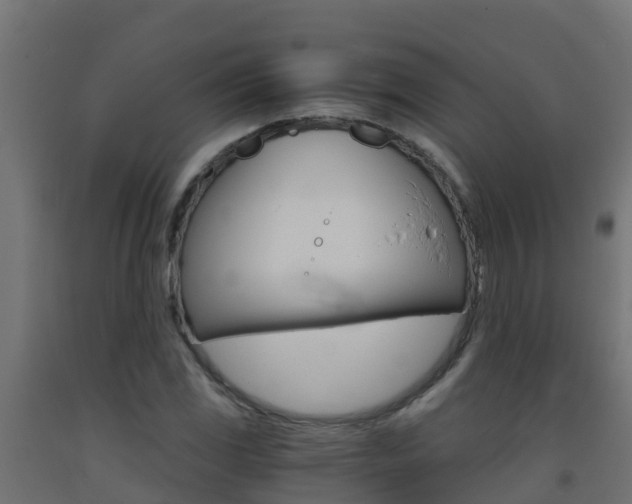 X0000093411117200710120910