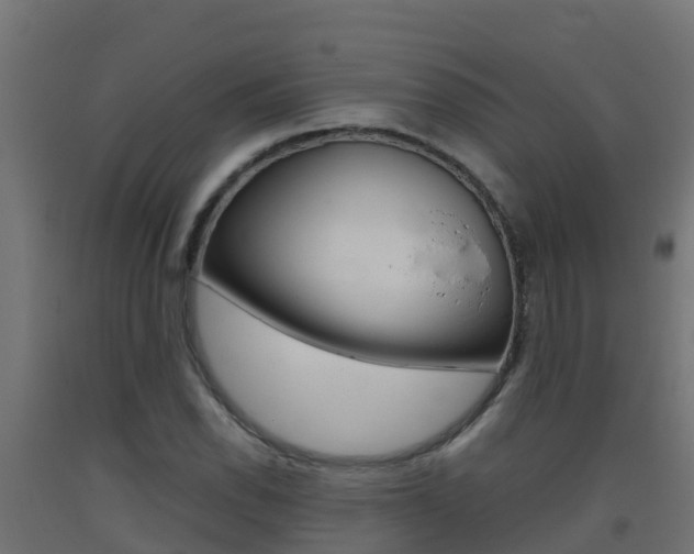 X0000093411118200710120910