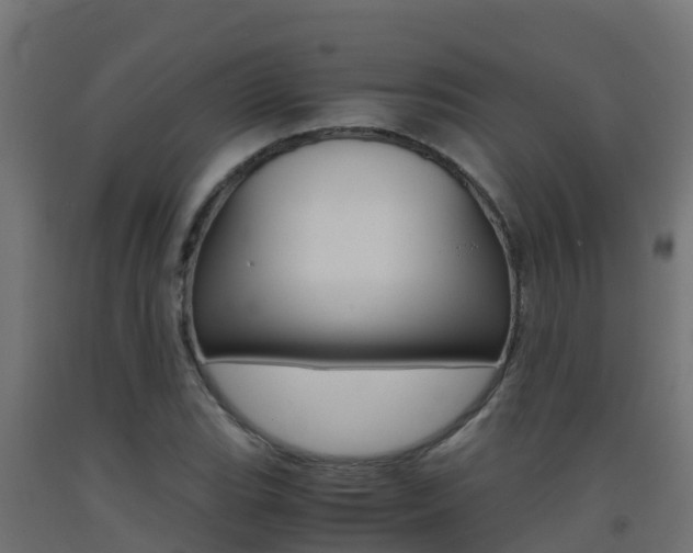 X0000093411119200710120910