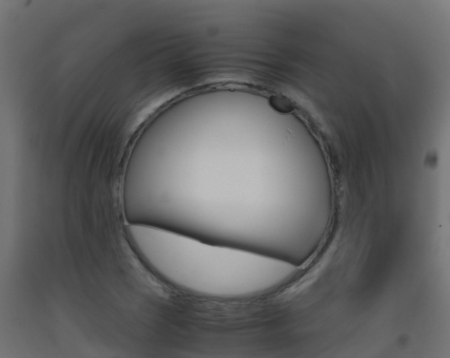 X0000093411121200710120910