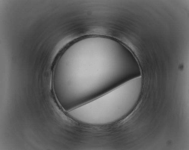 X0000093411123200710120910