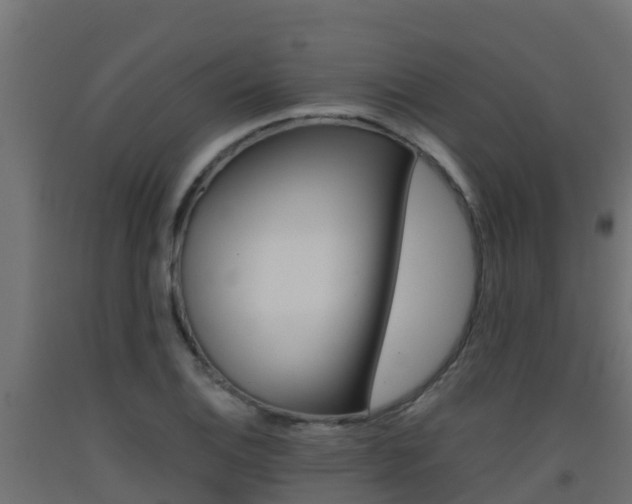 X0000093411124200710120910
